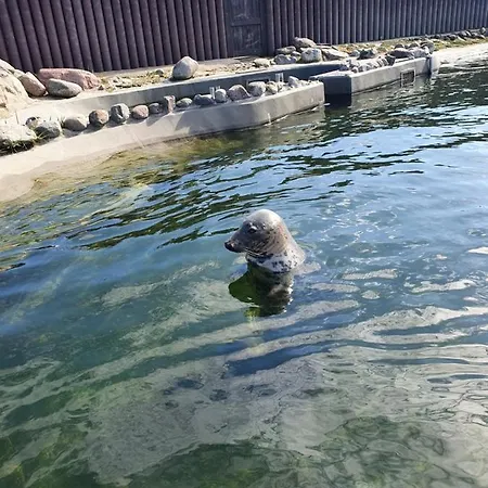 Apartmán Apartament Hel Hel