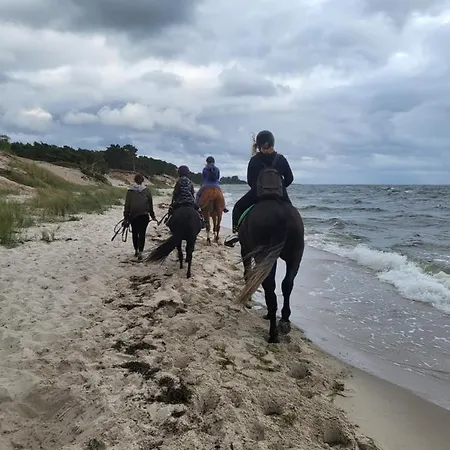 Apartament Hel Appartamento *