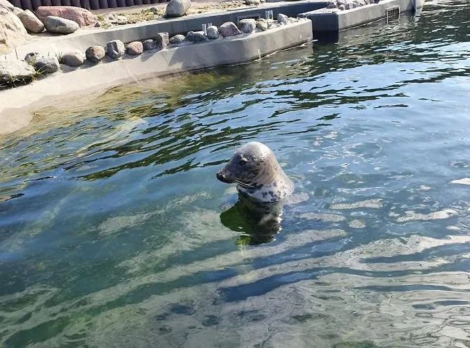 شقة Apartament Hel هيل