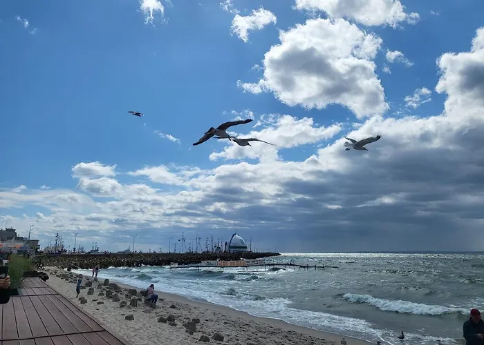 Apartament Hel شقة *