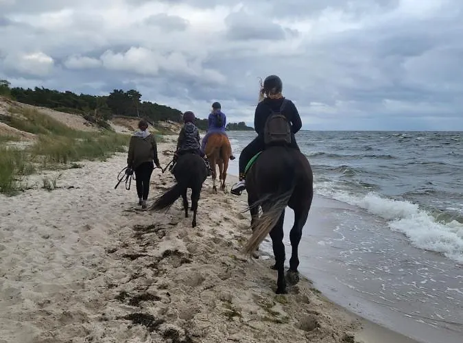 Apartament Hel شقة *